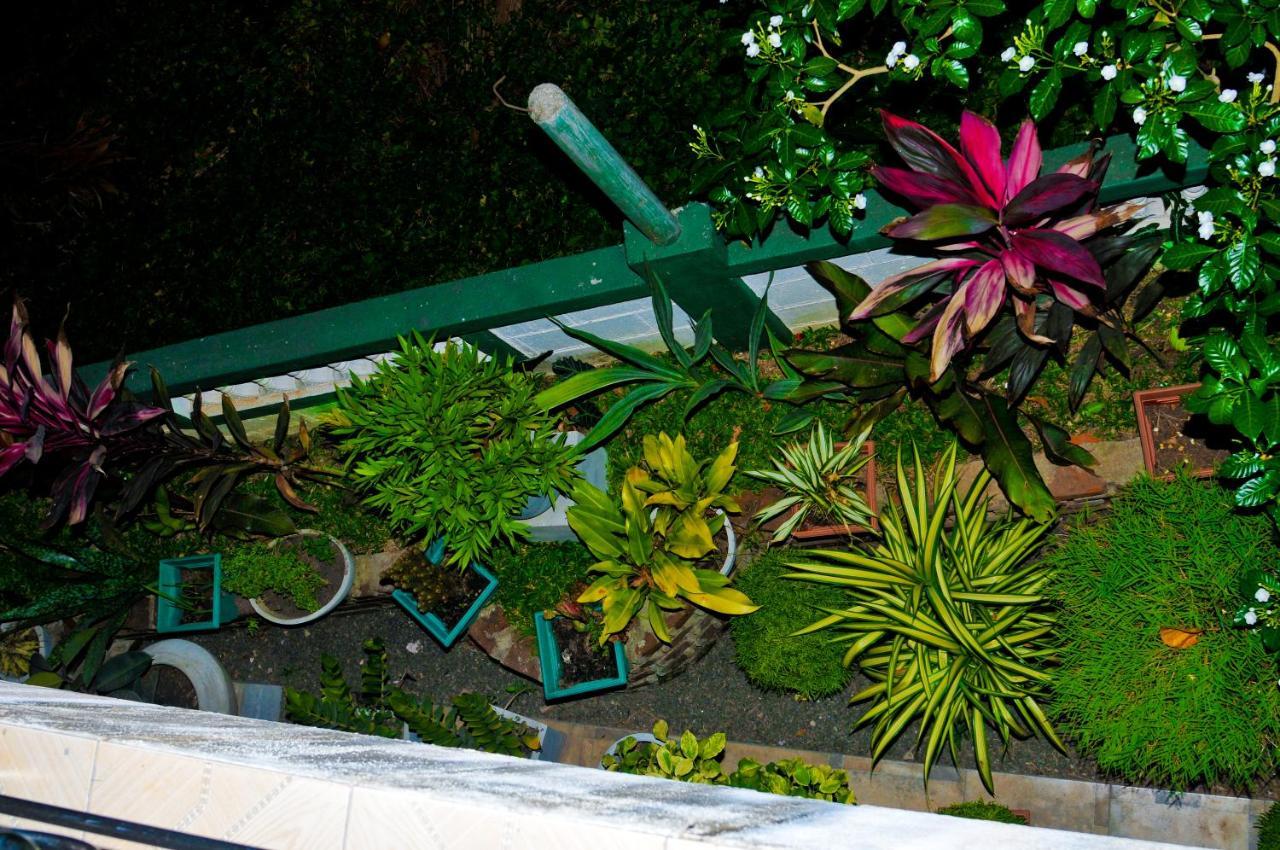 Myr-O Homestay Kombichankulama Exterior foto